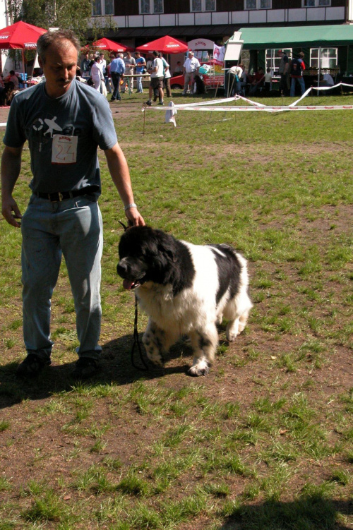 LIDZBARK 2006