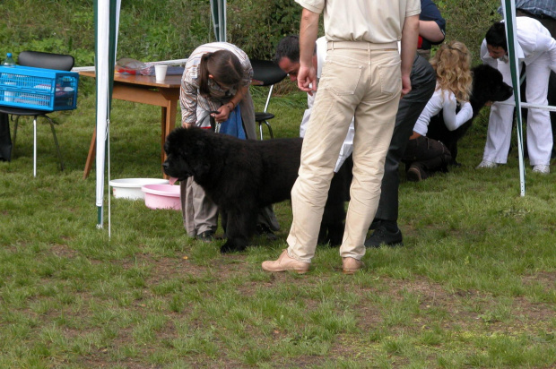 LIDZBARK 2006