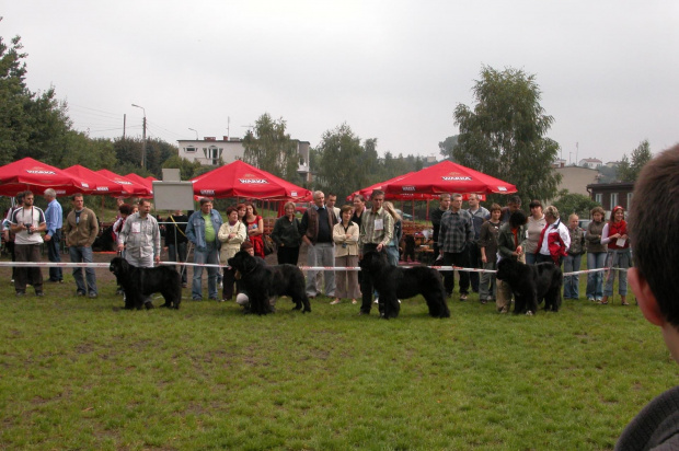 LIDZBARK 2006