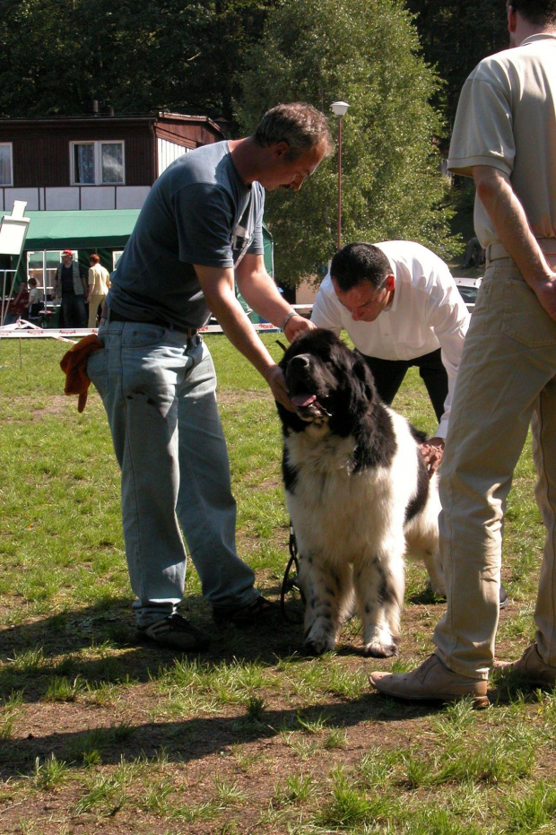 LIDZBARK 2006