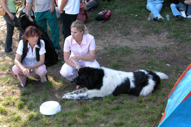 LIDZBARK 2006