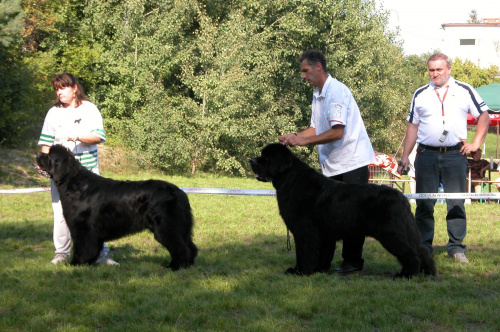 LIDZBARK 2006