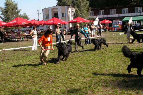 LIDZBARK 2006