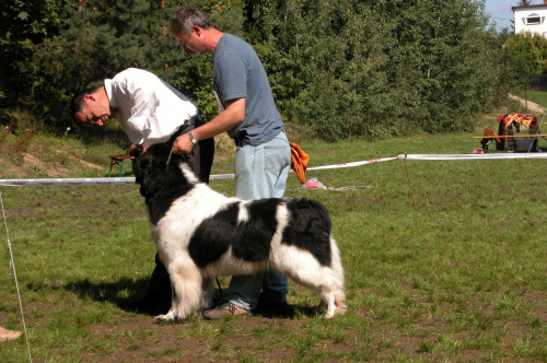 LIDZBARK 2006