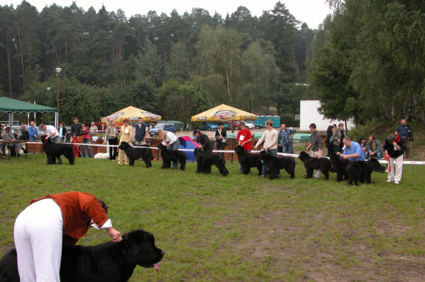 LIDZBARK 2006