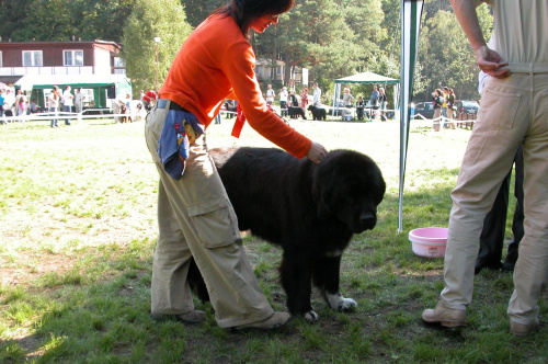 LIDZBARK 2006