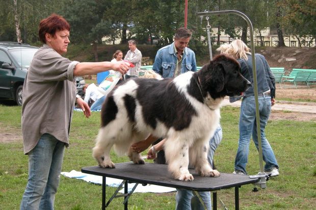 LIDZBARK 2006