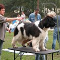 LIDZBARK 2006