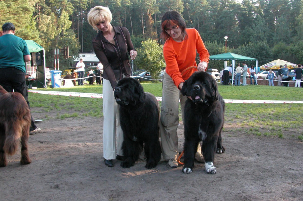 LIDZBARK 2006