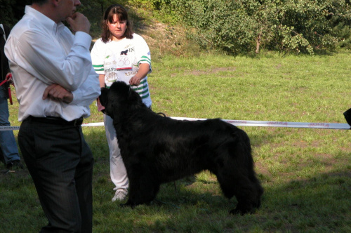 LIDZBARK 2006