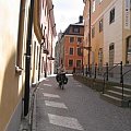 Szwecja 2006