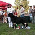 LIDZBARK 2006