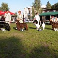 LIDZBARK 2006