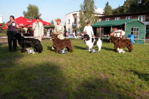 LIDZBARK 2006