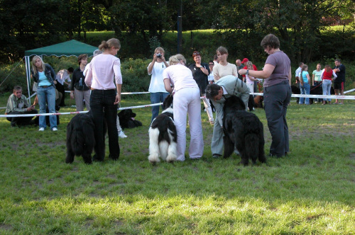 LIDZBARK 2006