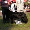 LIDZBARK 2006