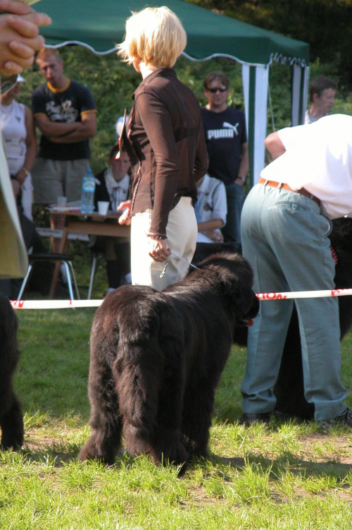 LIDZBARK 2006