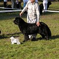 LIDZBARK 2006