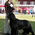 LIDZBARK 2006