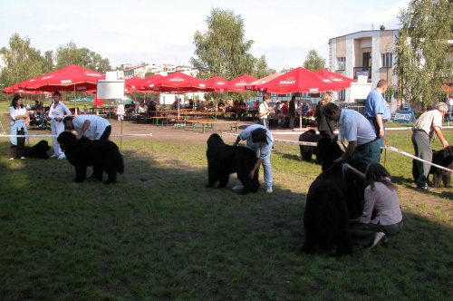 LIDZBARK 2006