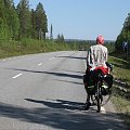 Szwecja 2006