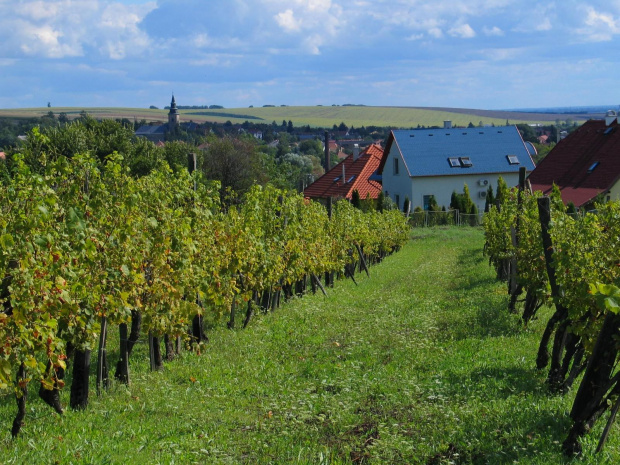 widok na Bogacs