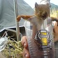 wiewiora woodstockowa.....sie najebala za duzo i oto efekt :P:P;P