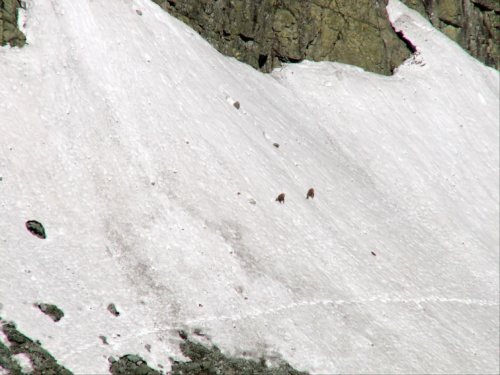 Morskie Oko- Rysy- zejście przez Słowację-Morskie Oko. #Tatry #czerwiec #MorskieOko #Rysy