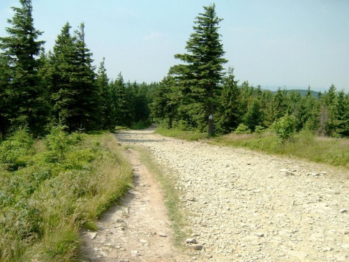 #beskid #beskidy #gory #góry #szlaki #widoki