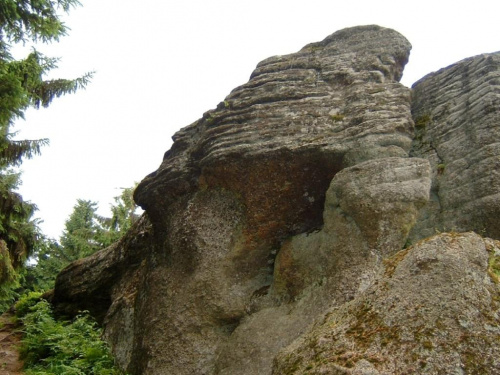 #beskid #beskidy #gory #góry #szlaki #widoki