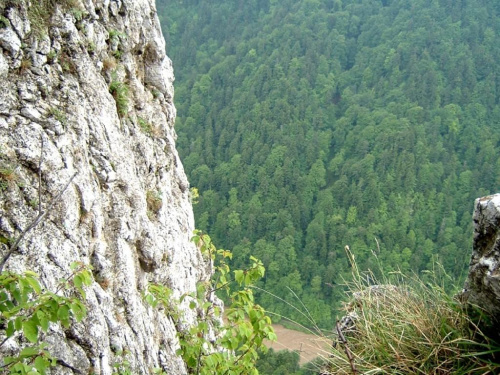 #pieniny #szlaki #gory #góry #widoki