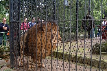 #zoo #zwierzeta #zwierzaki