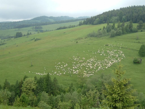 #pieniny #szlaki #gory #góry #widoki