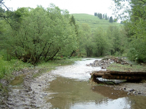 #pieniny #szlaki #gory #góry #widoki