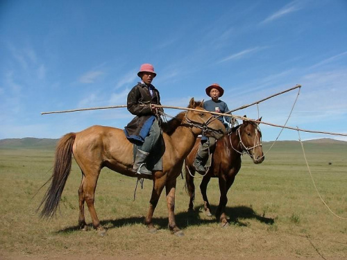 mlodzi mongolowie wypasajacy konie