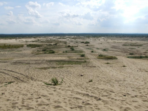 Pustynia Błędowska od strony Chechła #pustynia #błędowska #krajobraz #chechło