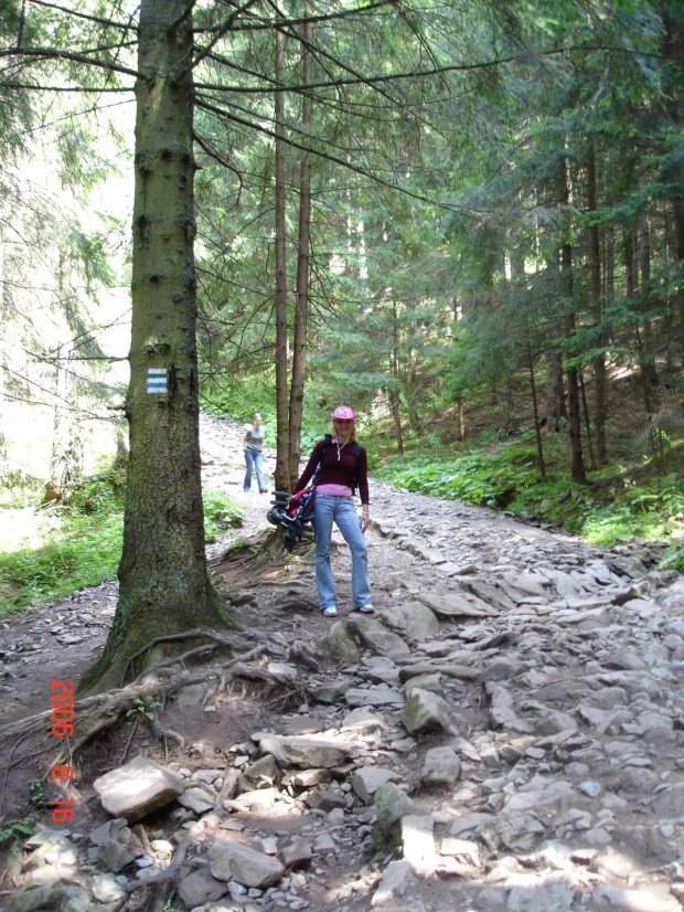 WCZASY ZAKOPANE 2006R.