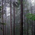 w drodze na Górę Parkowš