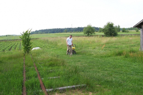 Nasza działeczka:)