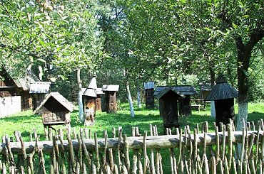 #Wieś #Muzeum #Bierkowice