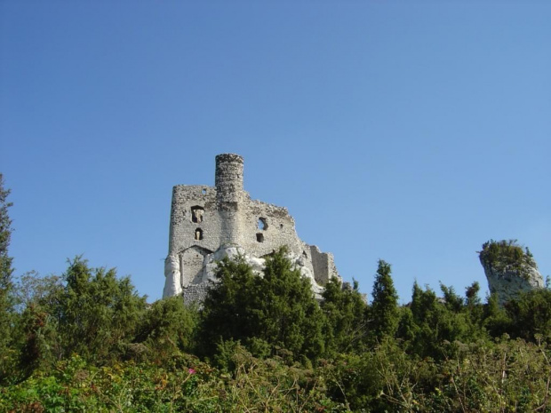 #Zamek #Mirów #Ruiny