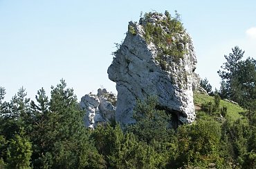 #Zamek #Mirów #Ruiny