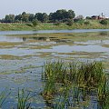 Malbork