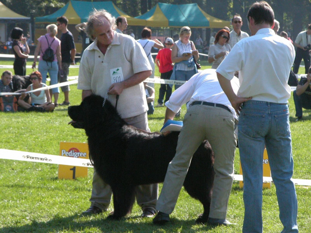 WYSTWA WROCŁAW 2006