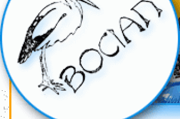 #logo #SymbolikaBociana #WizerunekBociana