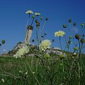 #Zamek #Olsztyn #Ruiny