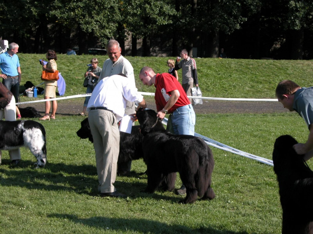 WYSTWA WROCŁAW 2006