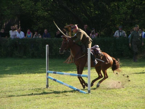 #jeździectwo #konie #koń #sport #zwierzęta