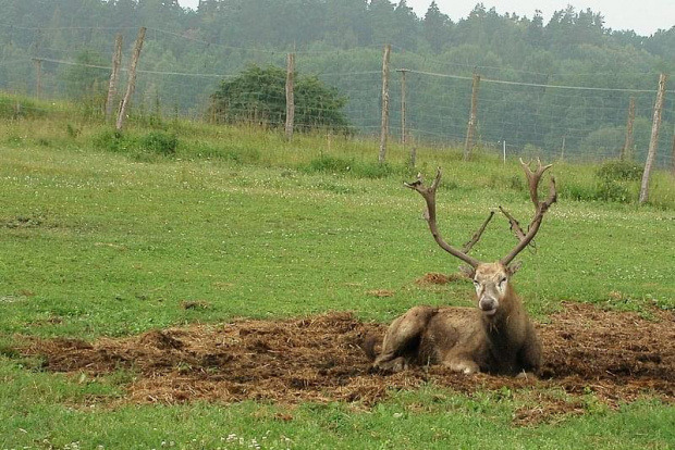 nic nie robić też jest miło