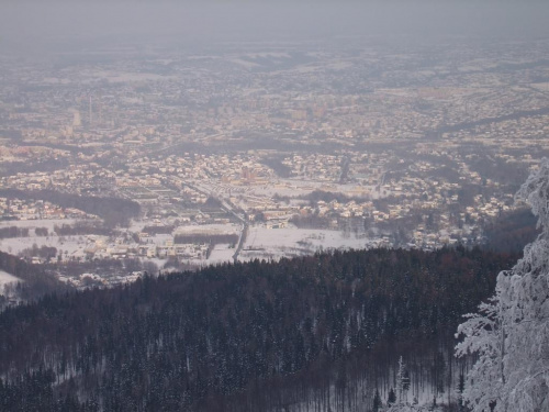 Szyndzielnia, widok na Bielsko-Białš #Góry #BeskidŚląski #Szyndzielnia #Zima